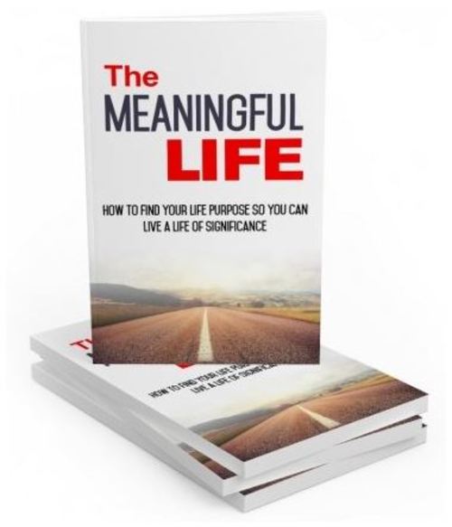Product picture The Meaningful Life 